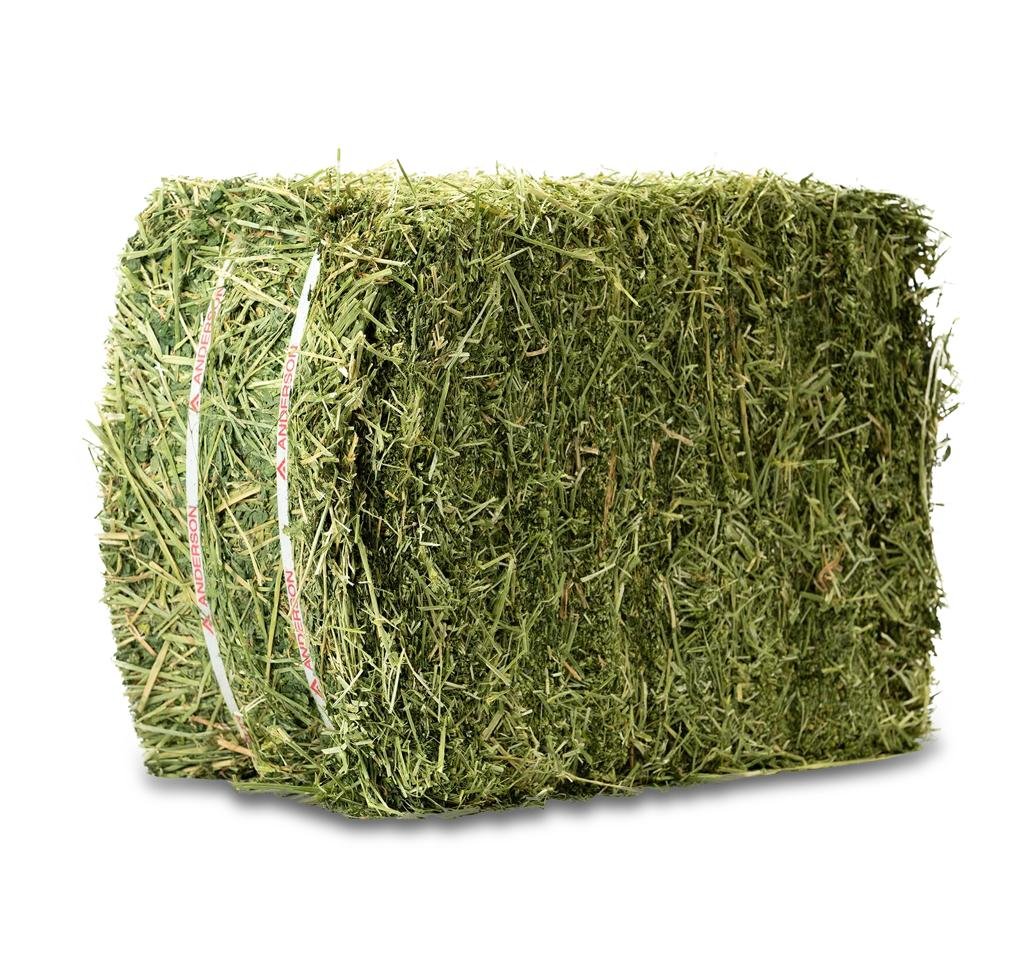 Alfalfa Hay