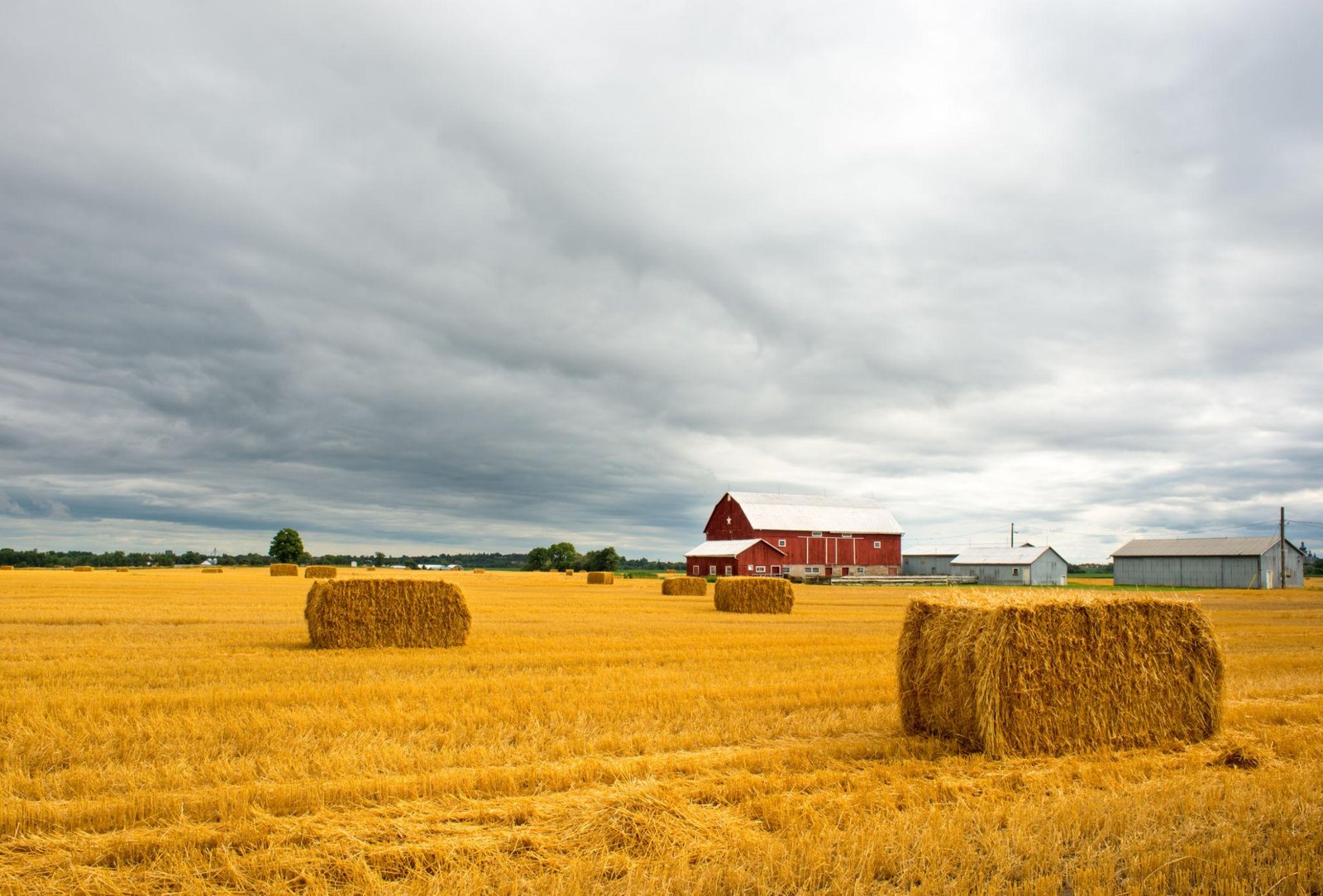 brooks farm